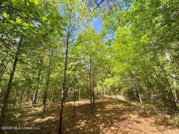44 Acres of Recreational Land for Sale in Sontag, Mississippi
