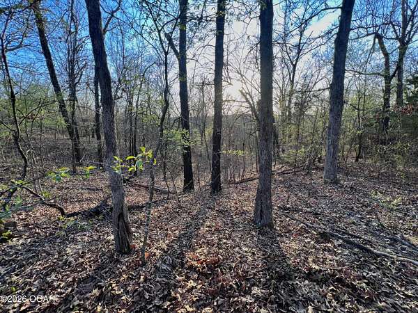 7 Acres of Land for Sale in Joplin, Missouri