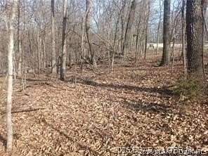 0.58 Acres of Residential Land for Sale in Village of Four Seasons, Missouri