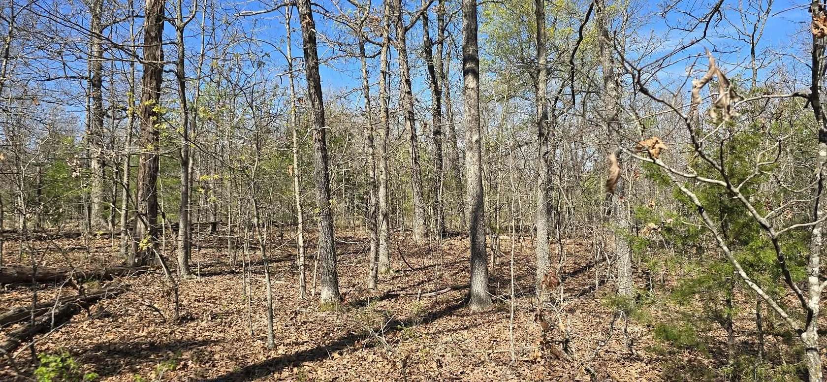 3.1 Acres of Land for Sale in Tunas, Missouri