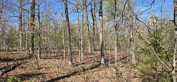 3.1 Acres of Land for Sale in Tunas, Missouri