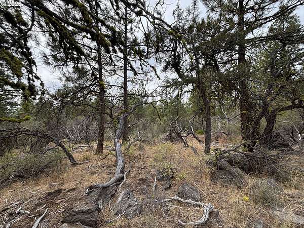 2.27 Acres of Residential Land for Sale in Bonanza, Oregon