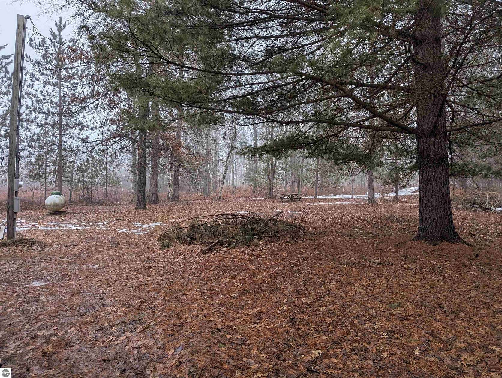 40 Acres of Recreational Land for Sale in Alger, Michigan