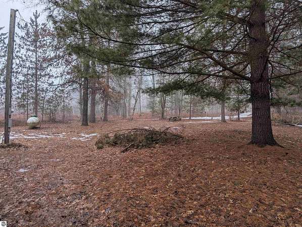 40 Acres of Recreational Land for Sale in Alger, Michigan