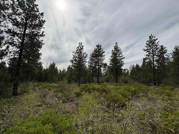 2.28 Acres of Residential Land for Sale in Bonanza, Oregon