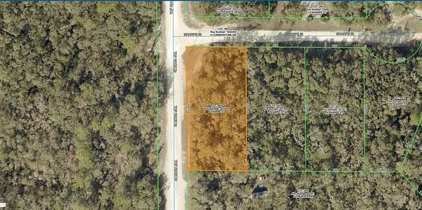 0.48 Acres of Residential Land for Sale in Webster, Florida