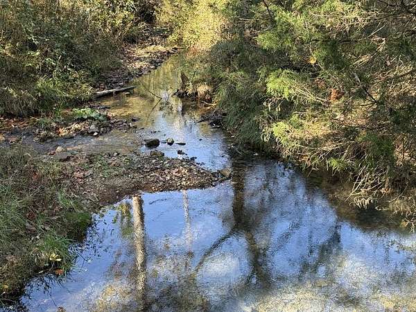 18 Acres of Land for Sale in Indian Mound, Tennessee