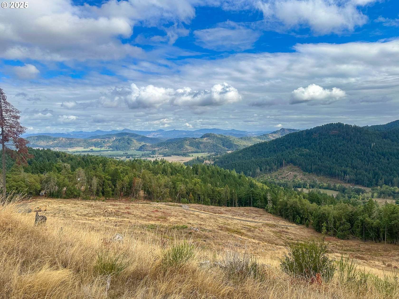 40 Acres of Recreational & Residential Land for Sale in Roseburg, Oregon