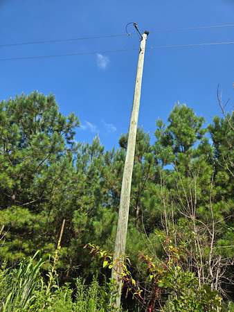 50 Acres of Recreational Land for Sale in Hickory Grove, South Carolina