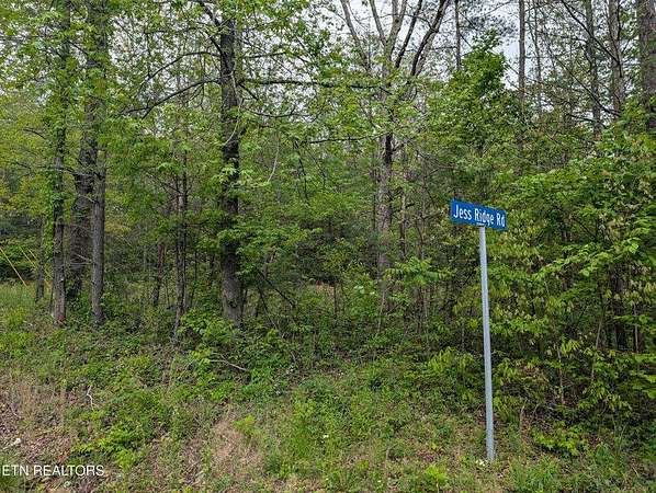 5.5 Acres of Residential Land for Sale in Lancing, Tennessee