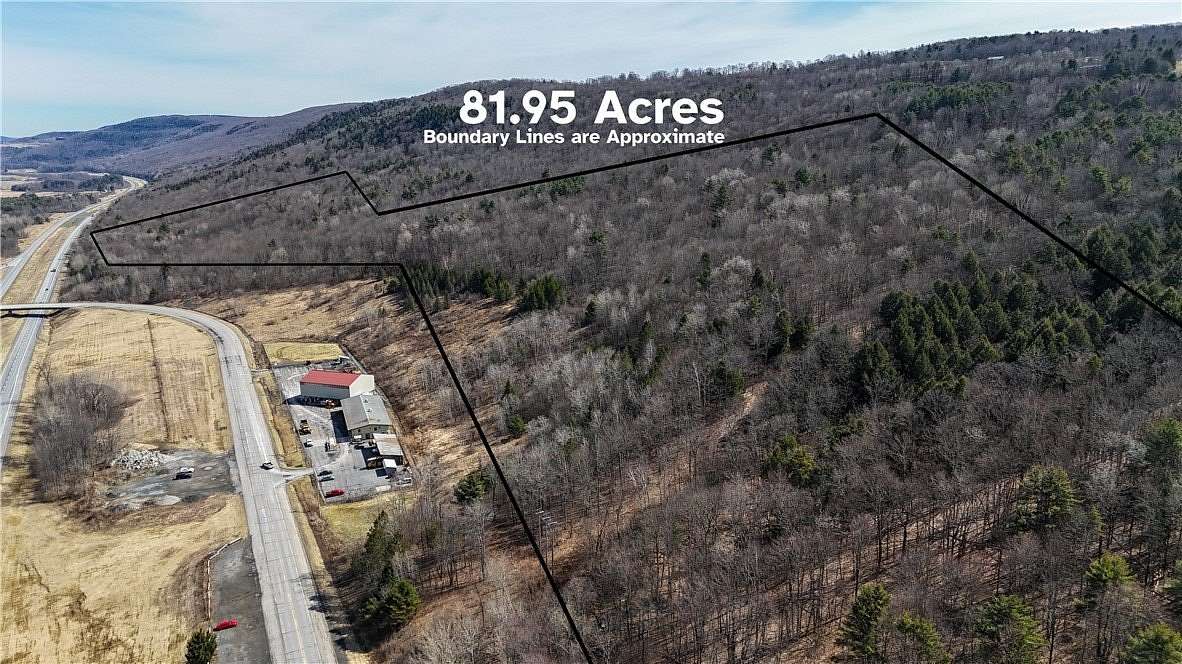 83 Acres of Recreational & Residential Land for Sale in Schenevus, New York