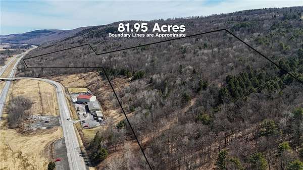 83 Acres of Recreational & Residential Land for Sale in Schenevus, New York