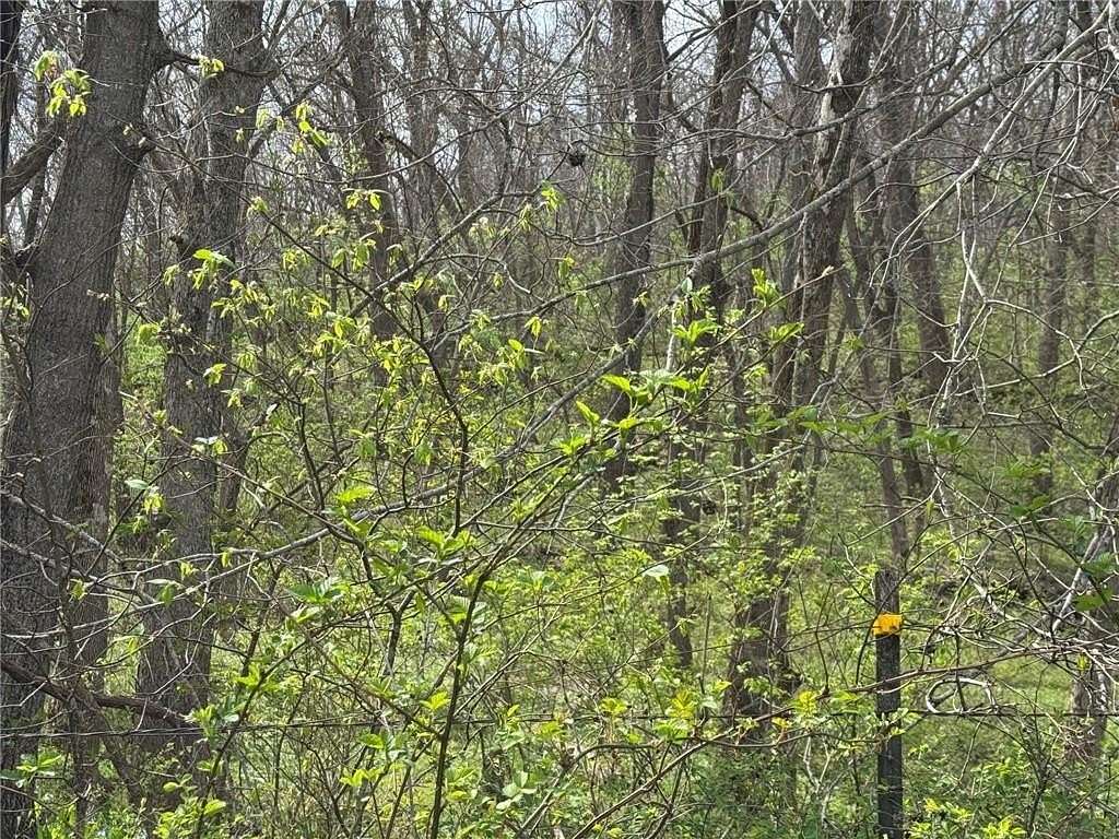 15 Acres of Recreational Land for Sale in Warrensburg, Missouri