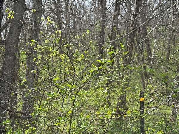 15 Acres of Recreational Land for Sale in Warrensburg, Missouri