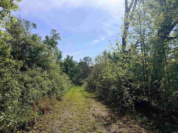 82.5 Acres of Agricultural & Residential Land for Sale in Hamburg, Arkansas