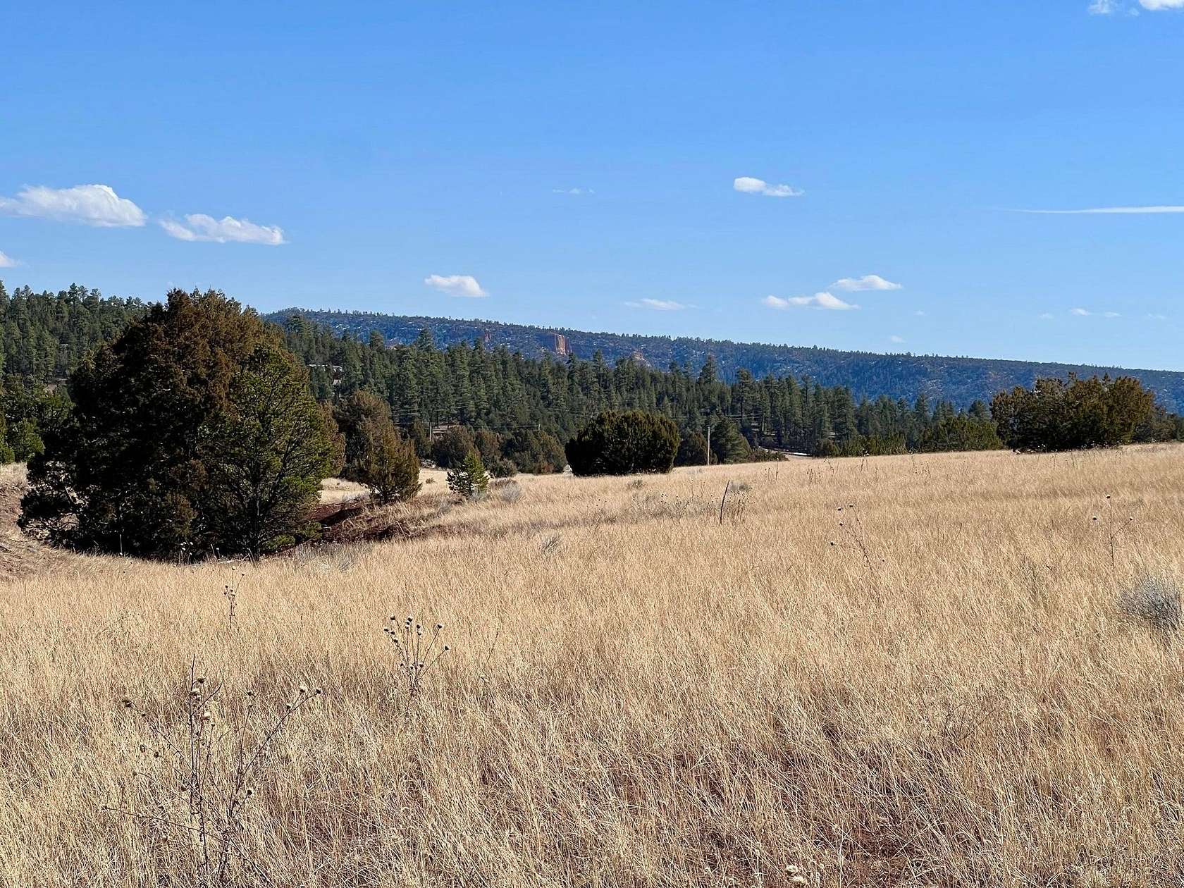 5.14 Acres of Land for Sale in Ramah, New Mexico