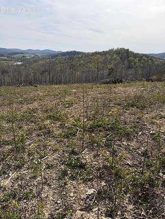 22.8 Acres of Land for Sale in Mount Vernon, Kentucky