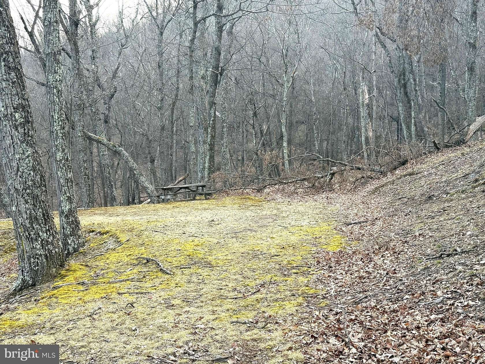 21 Acres of Recreational & Residential Land for Sale in New Creek, West Virginia