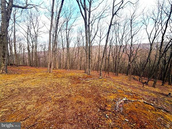 21 Acres of Recreational & Residential Land for Sale in Maysville, West Virginia