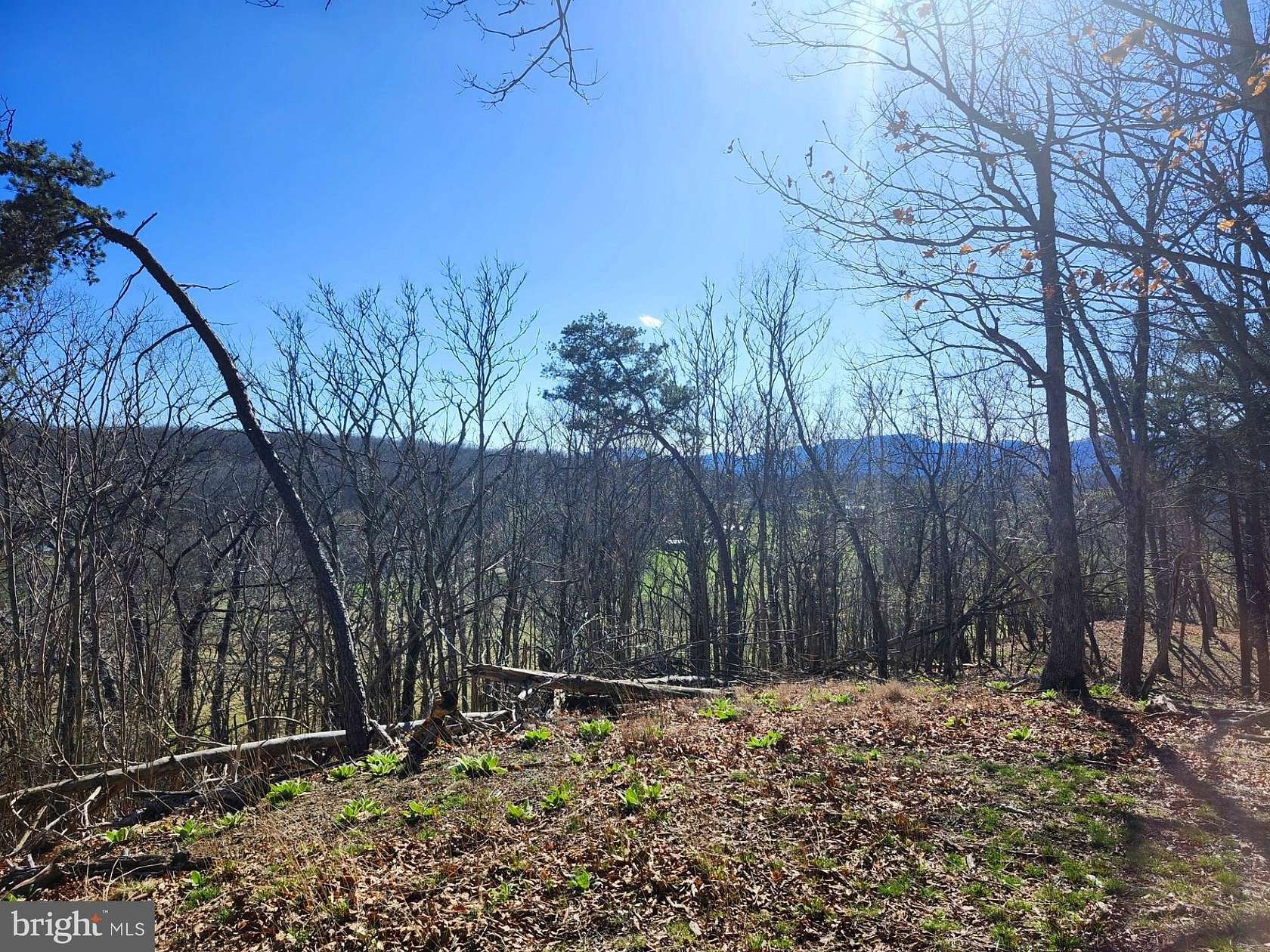 10 Acres of Residential Land for Sale in Old Fields, West Virginia