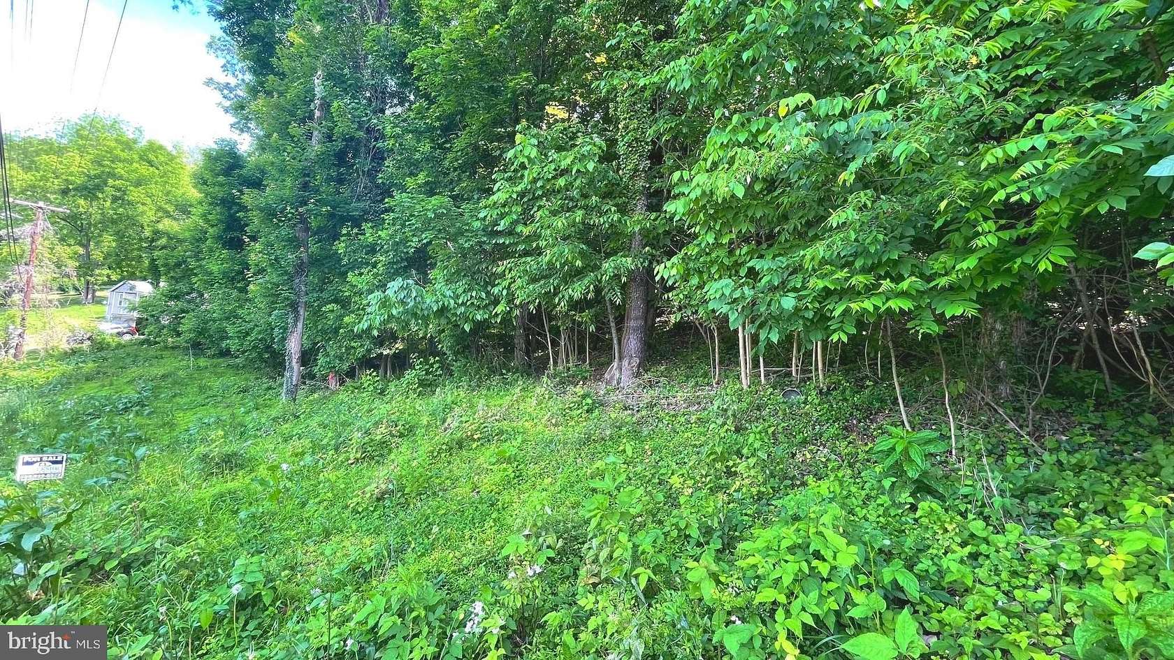 22.5 Acres of Recreational Land for Sale in Ridgeley, West Virginia