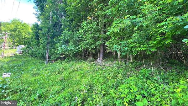 22.5 Acres of Recreational Land for Sale in Ridgeley, West Virginia