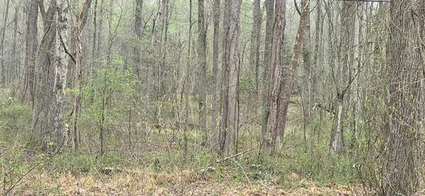 13 Acres of Recreational & Residential Land for Sale in Charlotte Hall, Maryland