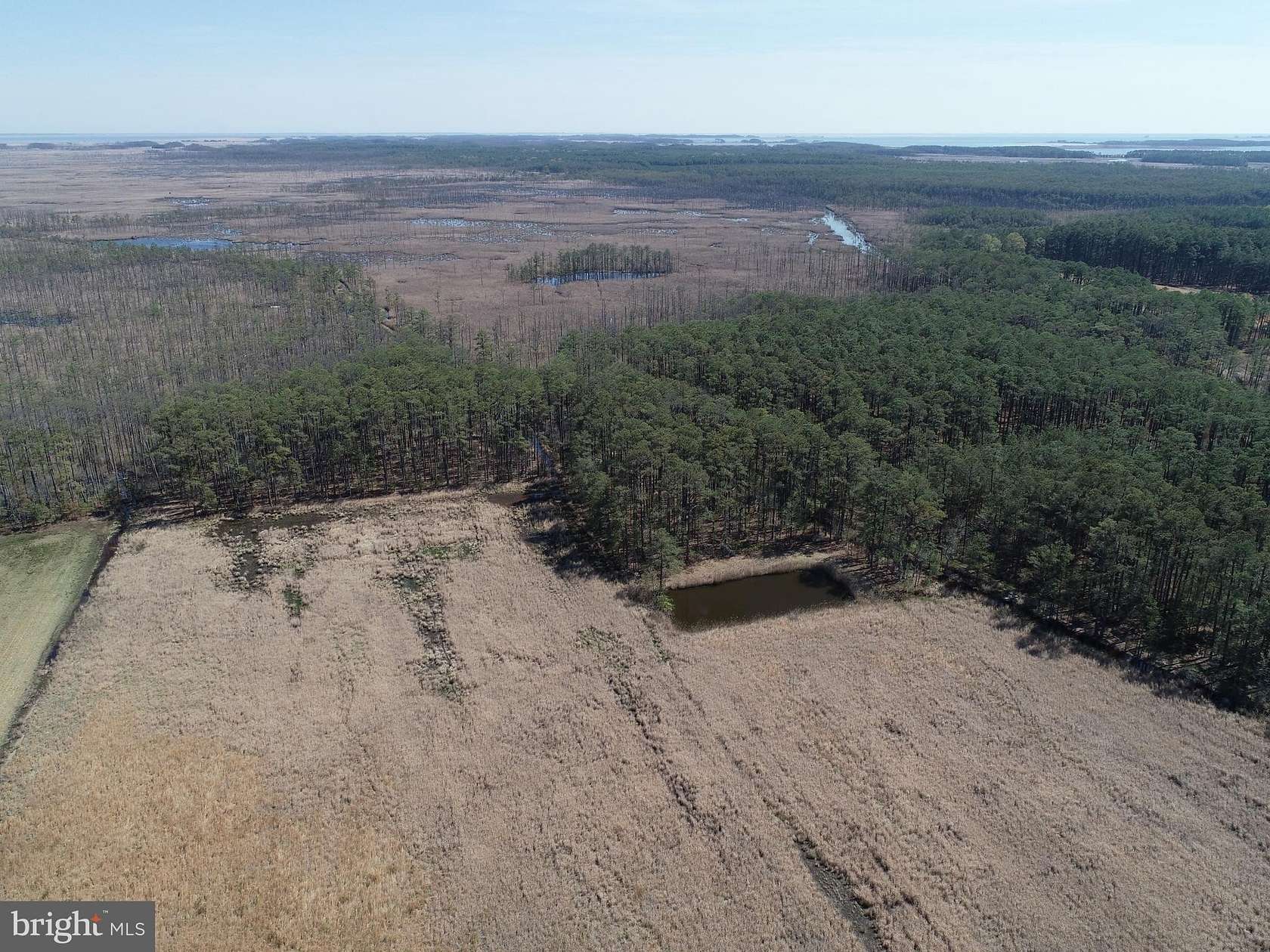 15.8 Acres of Recreational Land for Sale in Church Creek, Maryland