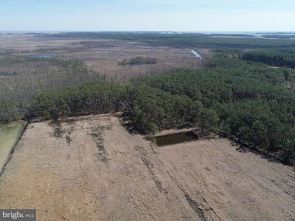 15.8 Acres of Recreational Land for Sale in Church Creek, Maryland