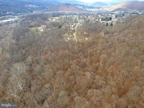 60 Acres of Recreational Land for Sale in Ridgeley, West Virginia