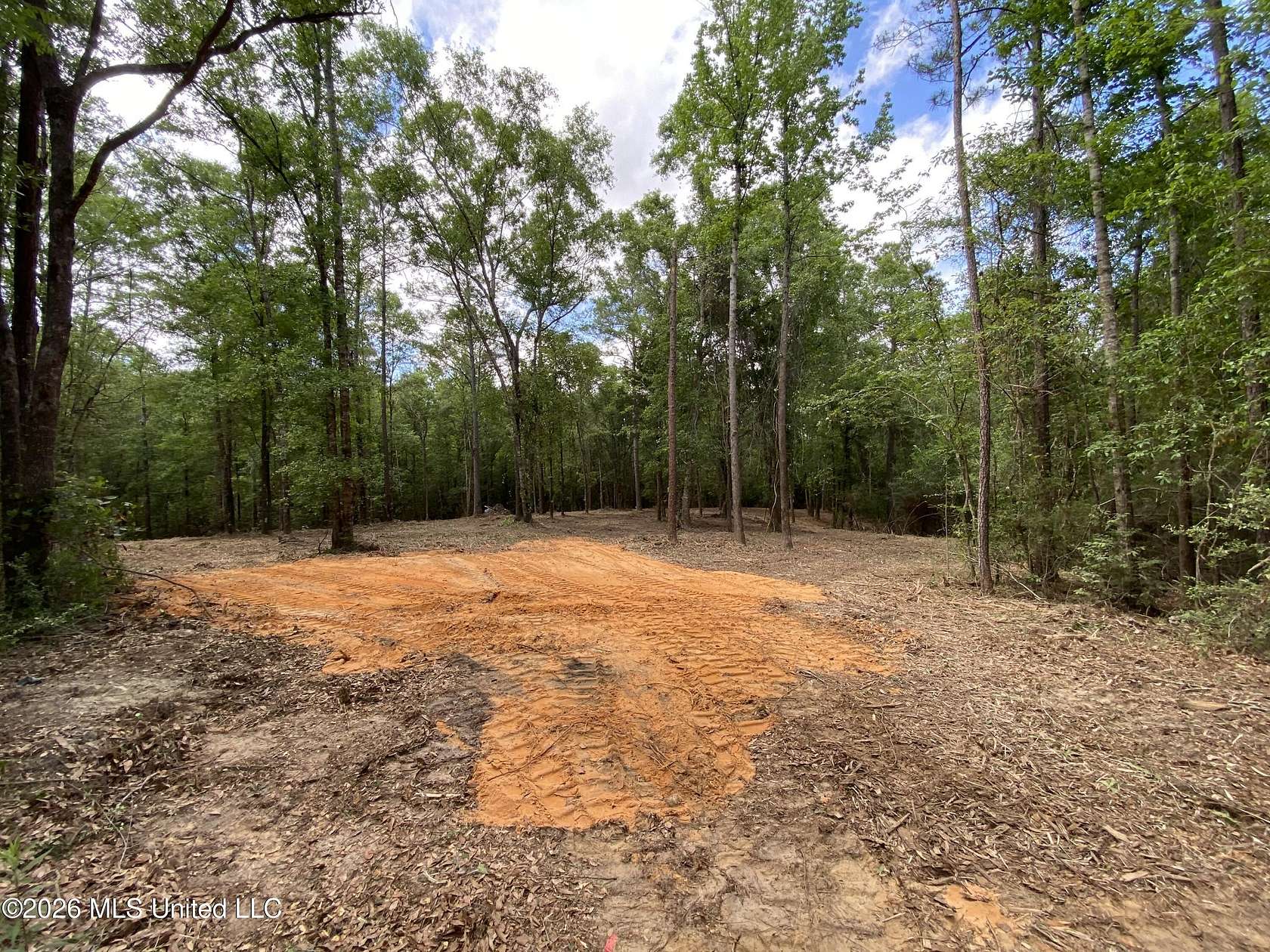 74 Acres of Recreational & Residential Land for Sale in Lucedale, Mississippi