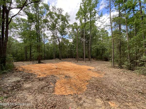 74 Acres of Land for Sale in Lucedale, Mississippi
