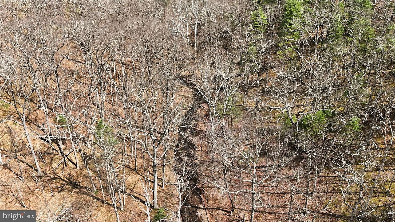 9.8 Acres of Residential Land for Sale in Romney, West Virginia