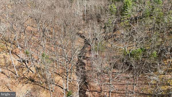 9.8 Acres of Residential Land for Sale in Romney, West Virginia