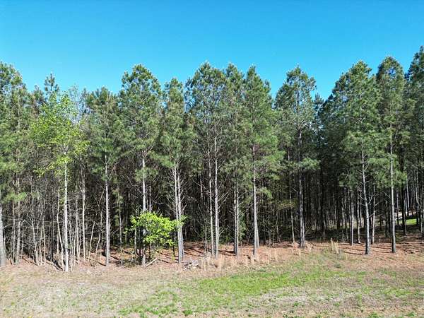 0.84 Acres of Residential Land for Sale in Jasper, Tennessee