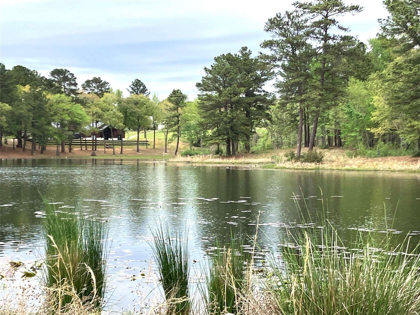 2 Acres of Residential Land for Sale in Big Sandy, Texas
