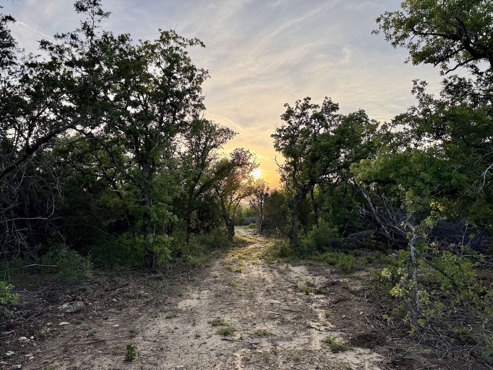 40 Acres of Land for Sale in Mingus, Texas