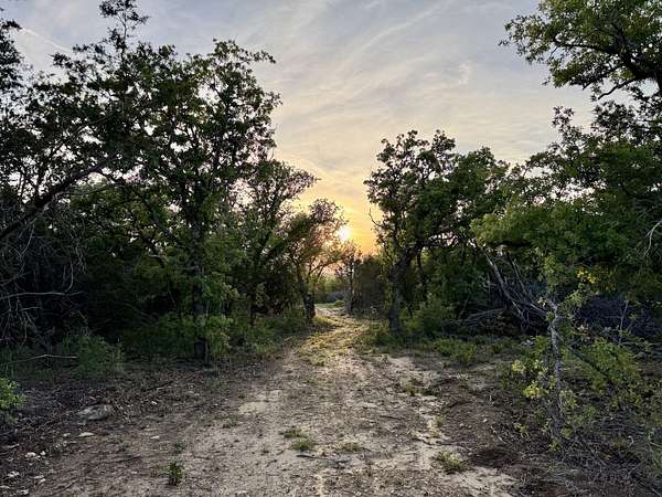 40 Acres of Land for Sale in Mingus, Texas