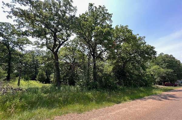 0.11 Acres of Land for Sale in Mabank, Texas