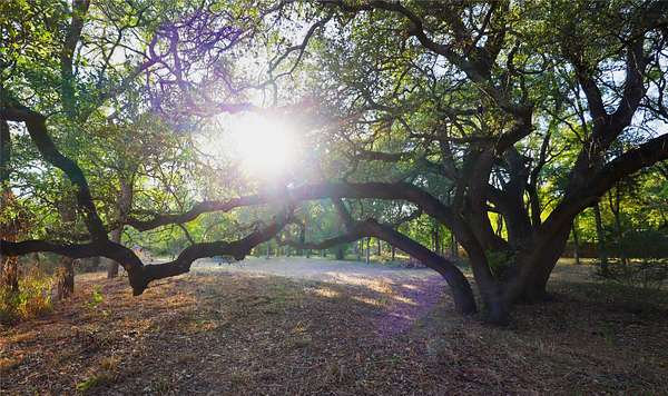 1.38 Acres of Residential Land for Sale in McGregor, Texas