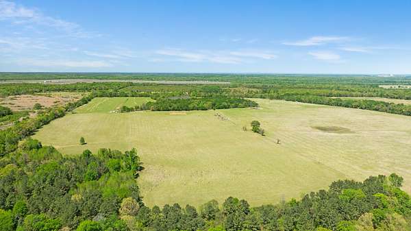 235 Acres of Agricultural Land for Sale in Detroit, Texas