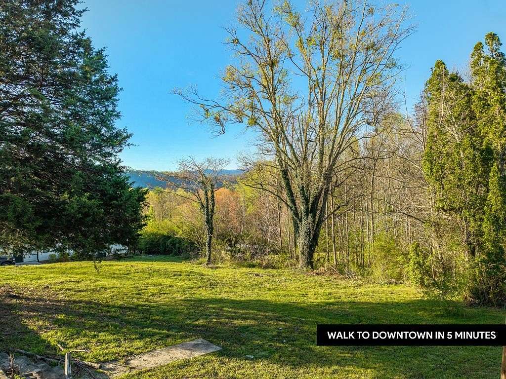 0.34 Acres of Residential Land for Sale in Blue Ridge, Georgia