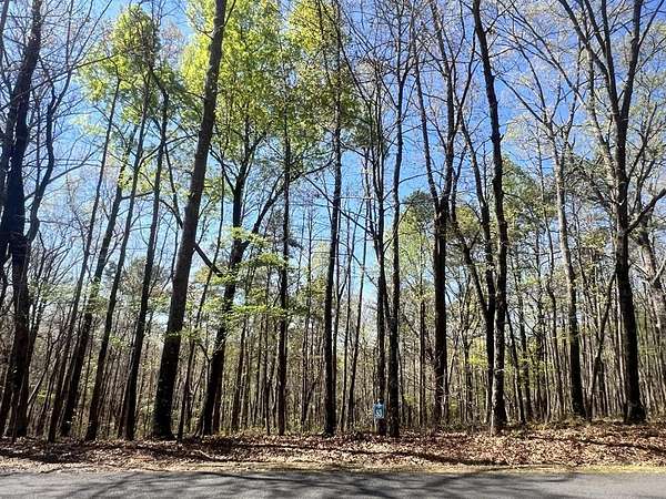 1 Acre of Residential Land for Sale in Ellijay, Georgia
