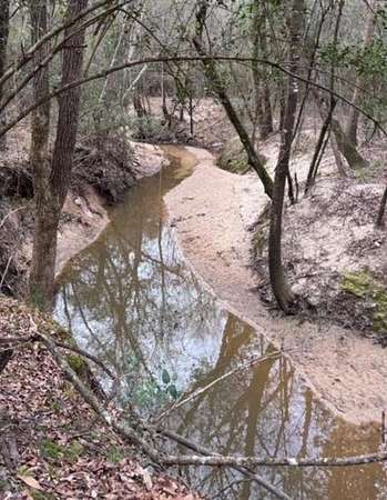 73.6 Acres of Recreational & Residential Land for Sale in Nacogdoches, Texas