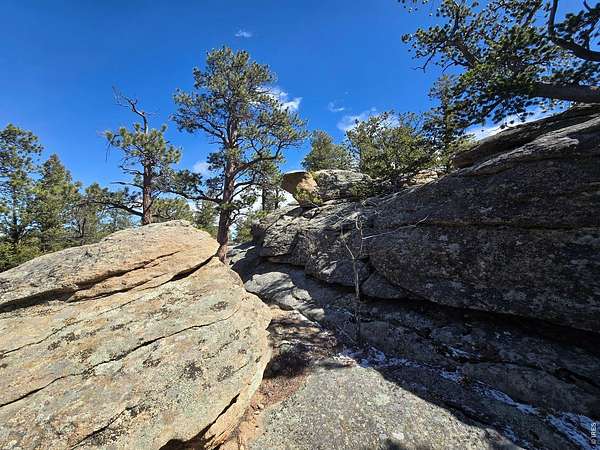 0.12 Acres of Land for Sale in Red Feather Lakes, Colorado
