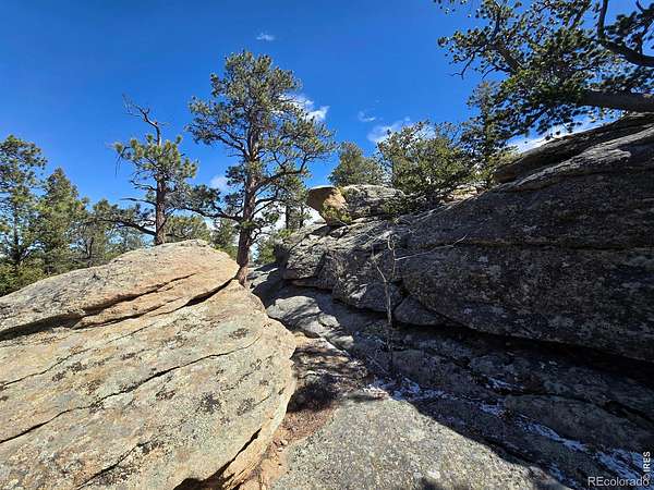 0.12 Acres of Land for Sale in Red Feather Lakes, Colorado