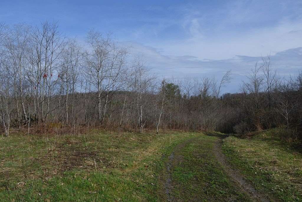 98.6 Acres of Recreational & Residential Land for Sale in Strattanville, Pennsylvania