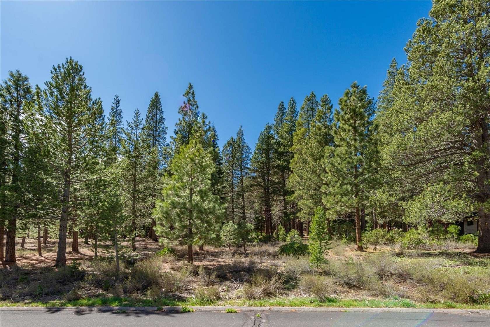 Residential Land for Sale in Truckee, California