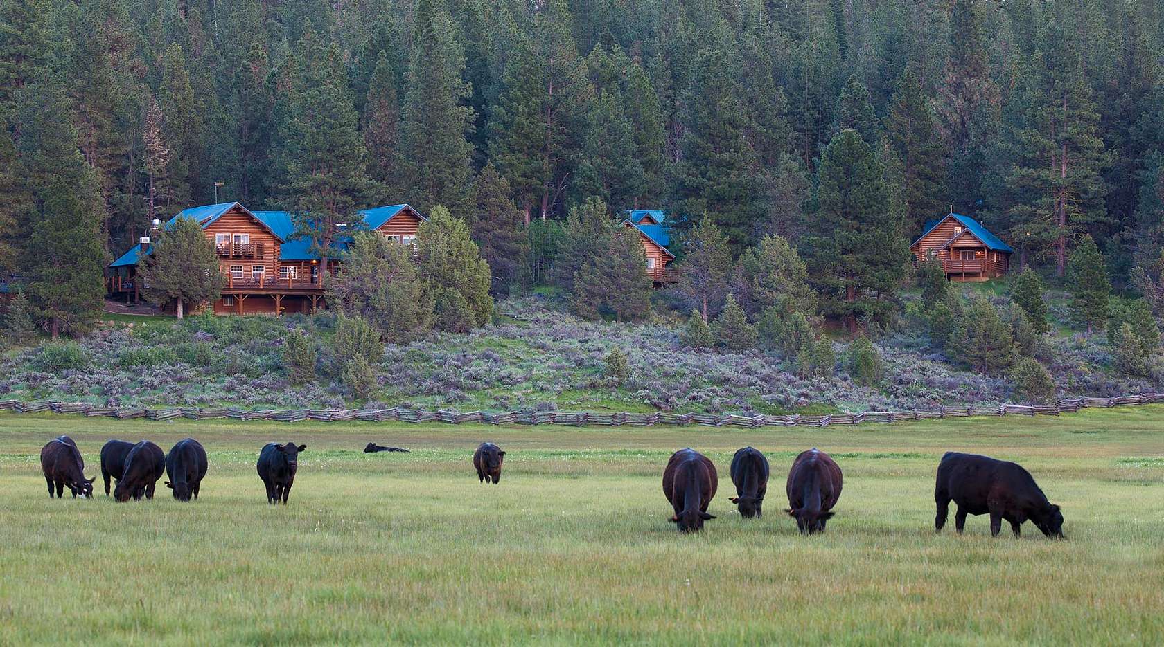 3,598 Acres of Land for Sale in Bly, Oregon