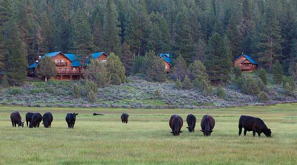 3,598 Acres of Land for Sale in Bly, Oregon